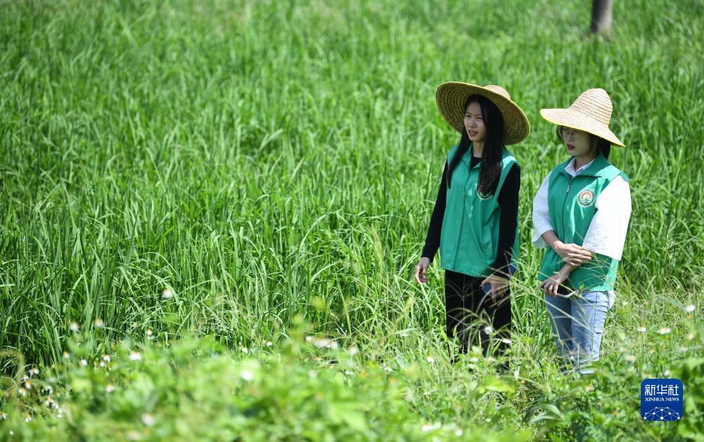 捕鱼游戏电脑版在线官网
